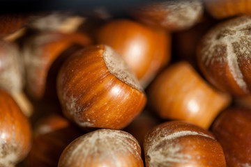 Hazelnuts as background in closeup