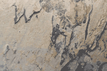 the texture of natural stone