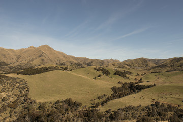 Fototapeta na wymiar Colinas y montañas verdes con ovejas de la Isla Sur de Nueva Zelanda