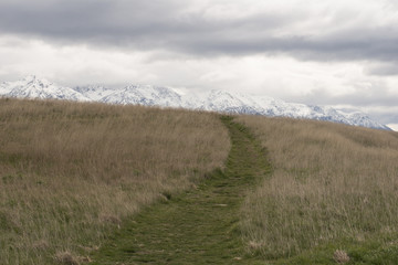 Colinas y montañas verdes con ovejas de la Isla Sur de Nueva Zelanda