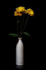 still life vase with flowers Black background.