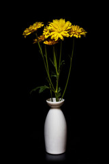 still life flowers Black background.
