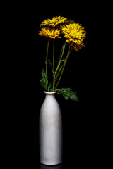 still life flowers Black background.