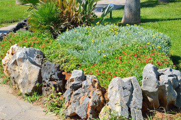 Flowerbed on town street in Malia.