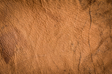 Vintage leather background.