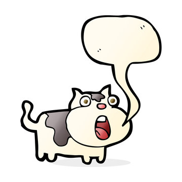 recommend clip art: cartoon shocked cat with speech bubble
