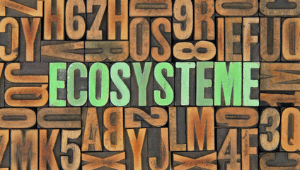 Ecosystème / caracteres d'imprimerie en bois 