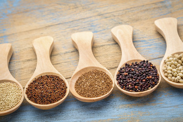 gluten free grains abstract