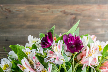 Rustic Background with alstroemeria