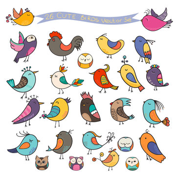 Set of 26 cute birds in vector. Cartoon collection