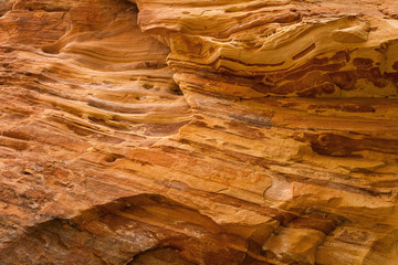 Red Sandstone background in Zion National Park, Utah, USA