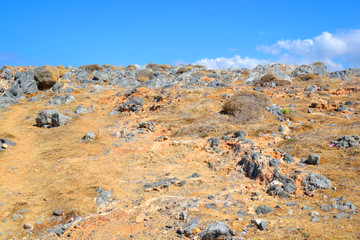 Summer mountain landscape.