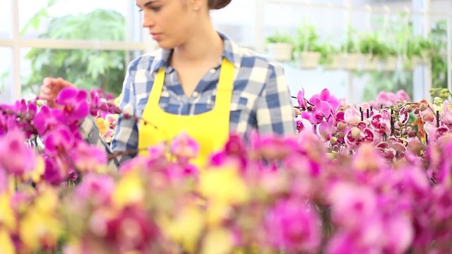 woman walking in the garden of flowers, touches orchids