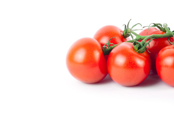 Ripe Fresh Cherry Tomatoes on Branch