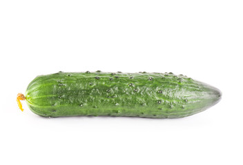 Cucumber isolated on white background
