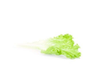 Lettuce leaves isolated on white background