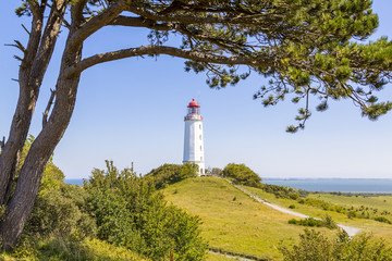 Fototapeta na wymiar landscape and lighthouse Dornbusch at Hiddensee island