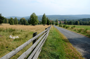 Fototapeta na wymiar Road in the mountains (Sudety in Poland)