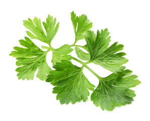 Fresh parsley isolated on white