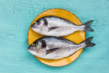 Raw fresh dorado fish on yellow plate on blue background. Top view. 