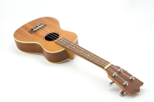 Brown ukulele isolate white background 