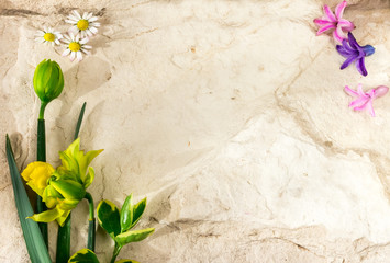 Весенние цветы на каменном фоне к международному женскому дню и пасхе. Текстура.