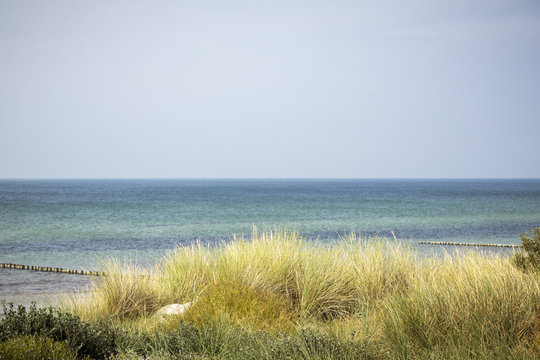 ocean landscape with dune and marram grass