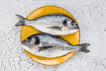 Raw fresh dorado fish on yellow plate on white background. Top view. 