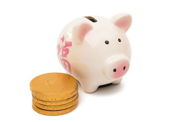Pig piggy bank with coins