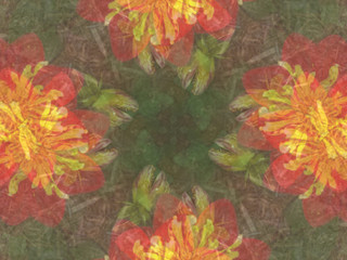 Background image of red and yellow flowers.