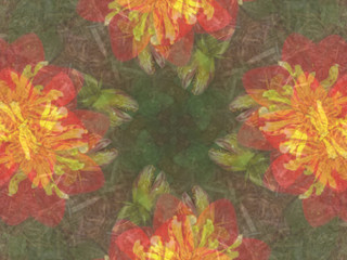 Background image of red and yellow flowers.