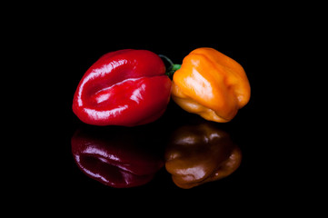 Two habanero peppers yellow and red on black background with reflection