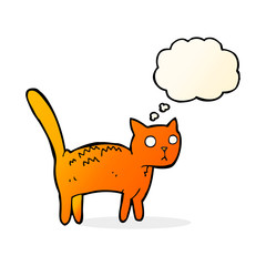 cartoon frightened cat with thought bubble
