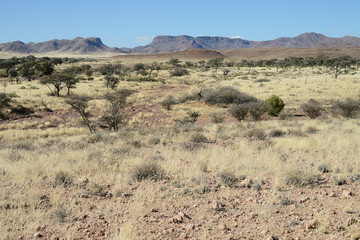 Steppe, Namib, Namibia