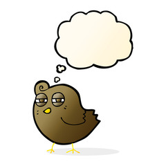 funny cartoon bird with thought bubble