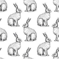 Vector background with hare sketch. © sketched-graphics