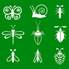 Insects set on green background