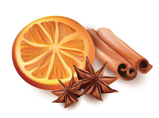 Vector Illustration of Orange Slice, Cinnamon Sticks and Star Anice Isolated on White Background.