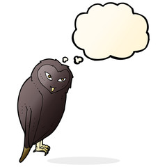 cartoon owl with thought bubble