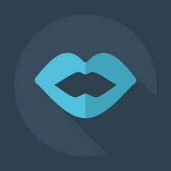Flat modern design with shadow icons lip
