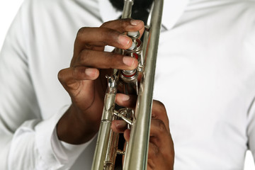 Obraz premium The musician's hands.