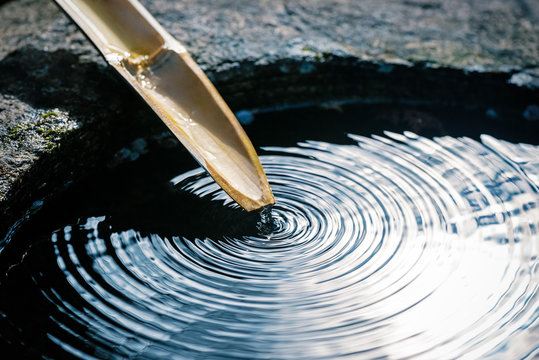 Fototapeta つくばい,日本庭園