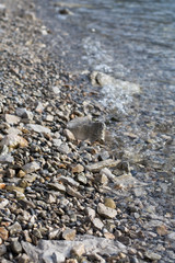 Rocks on the beach with sea in the background