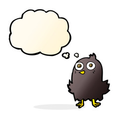 funny cartoon bird with thought bubble