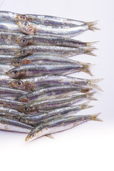 Fresh raw sardines isolated on white background
