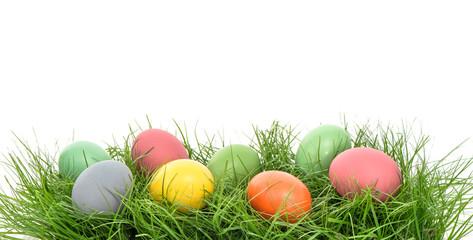 Fototapeta na wymiar Colorful easter eggs in green grass over white