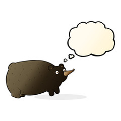 funny cartoon bear with thought bubble