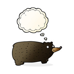 funny cartoon bear with thought bubble