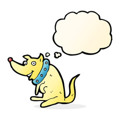 cartoon happy dog in big collar with thought bubble