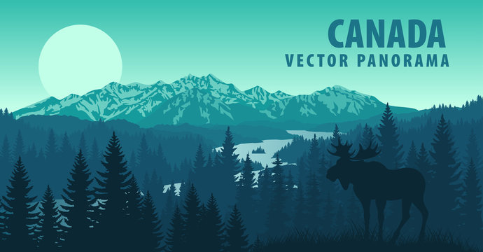 Vector Panorama Of Canada With Forest And Moose